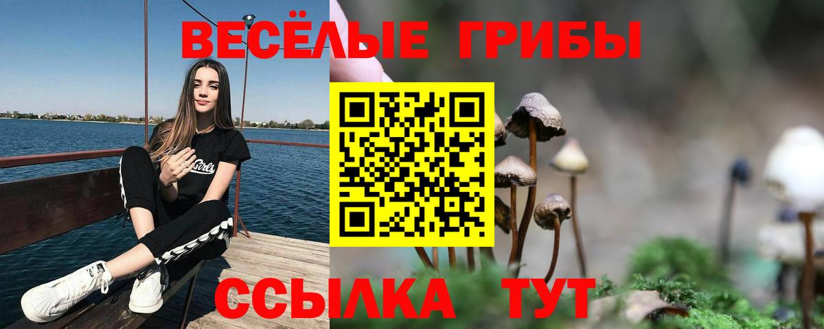 Галлюциногенные грибы ЛСД  Вход с VPN  Ивантеевка  Псилоцибиновые грибы Magic Shrooms 